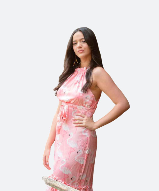 Vestido Flamenco Pink